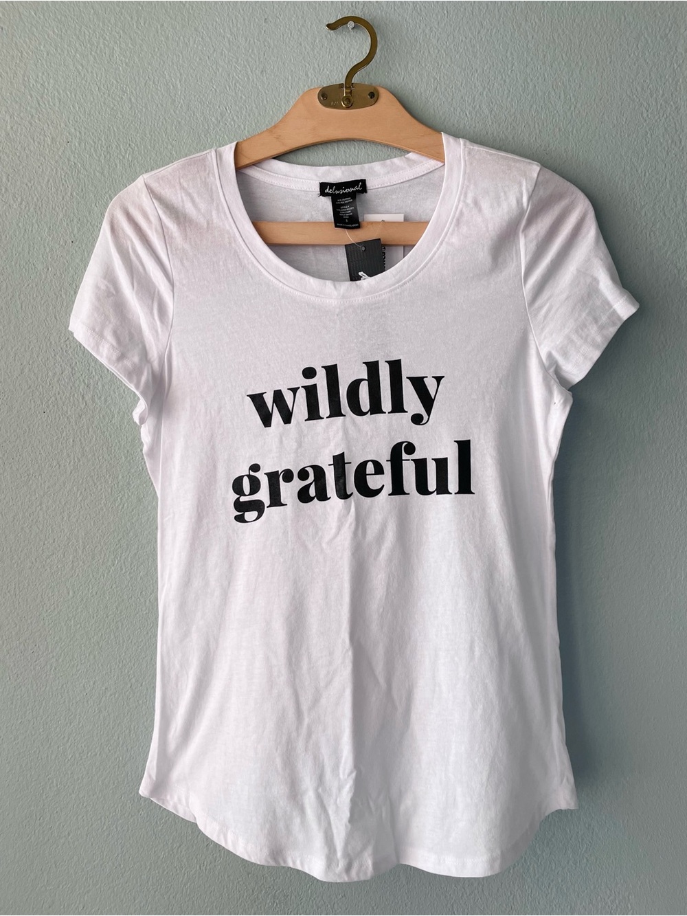 ♦️5/$15♦️Delusional | White Wildly Grateful Scoop Neck Tee